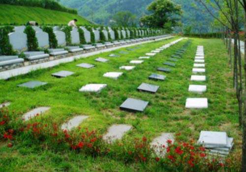 购买墓地要怎么操作才能够避免入坑？