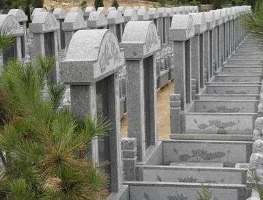 上海墓地谈墓地绿化到底重不重要？