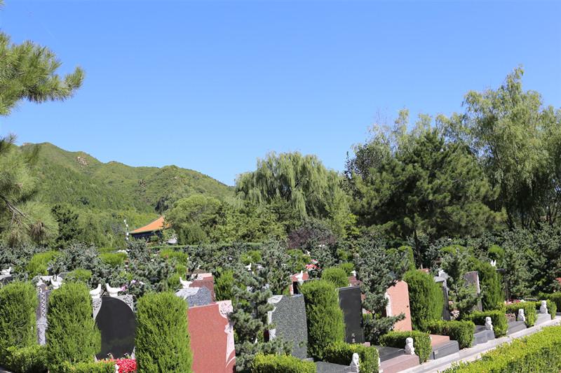 汇龙园给大家介绍上海购买墓地的流程有哪些？